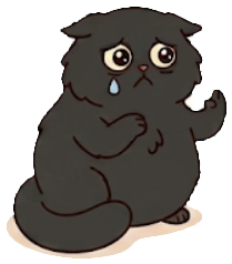 A sad cat